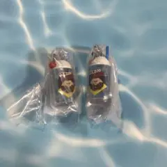 SKZOO POPUP パピーム　レトログラスミニチュアチャーム