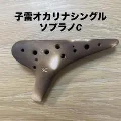 Item thumbnail for item 27051ffa-7f0c-4905-8acf-50871d1854ba