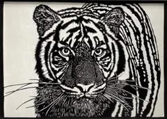 Item thumbnail for item b6e722e4-ec02-46d5-9e97-fdf3cc059dee