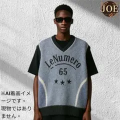 ZARA ザラ モヘア調 ニットベスト Vネック ビッグサイズ