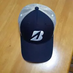 Item thumbnail for item 3145adef-ee52-4304-8fc5-2d164b878556