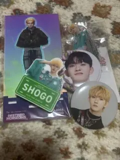 INI 田島将吾 アクスタ 10個セット INI 田島将吾 アクスタ 10個セット INI 田島将吾 グッズセット まとめ売り