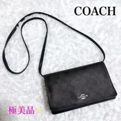 ほぼ未使用✨COACH PVCレザー ショルダーウォレット 長財布 シグネチャー