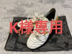 モレリアネオIV β JAPAN　26.0