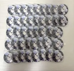 Dr.STONE HICUL グリッター缶バッジ ゼノ 42個セット ドクスト