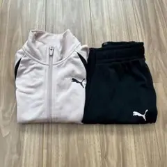 プーマ