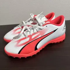 Item thumbnail for item 214bcb62-6fbf-44a0-95ec-7e2c4d4001df