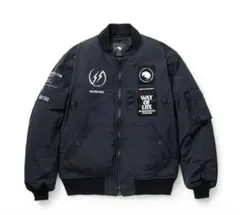 Item thumbnail for item 58b34f24-9b40-458a-8393-da938e058f28