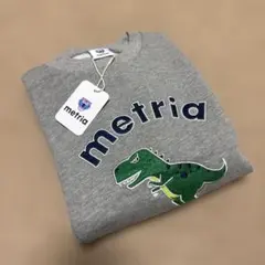 Item thumbnail for item 75d3c69e-f813-4525-965f-8a979328fc5d