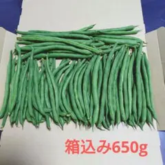 新鮮野菜 採りたて インゲン いんげん豆 ネコポス 箱込み650gのサムネイル