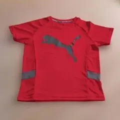 プーマ 半そで Tシャツ レッド イエロー 140cm 2枚セット