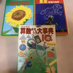 小学館入門百科シリーズ 大冒険山入門 大冒険海入門 2冊セット - メルカリ