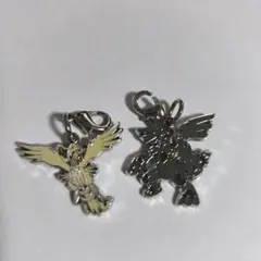 ポケモン レシラム　ゼクロム 全国ずかんメタルチャーム
