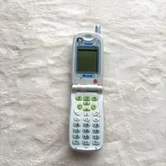 Item thumbnail for item 040bf0d9-4b1b-4060-a9cc-5c30b8caba8a