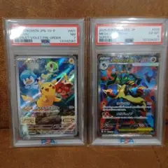 ポケモンカード ピカチュウ プロモ メガルカリオEX