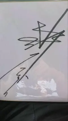 水樹奈々 直筆サインボール 2025年最新】水樹奈々 サインの人気アイテム - メルカリ