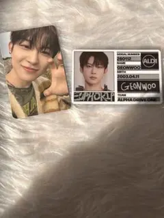 ald1 ゴヌ　トレカ　セット