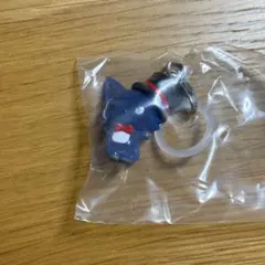JOCHUM ジェオチャム レイン めじるし チャーム アクセサリー