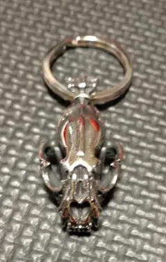 週末限定値下げ　サーベルタイガースカル ステンレスペンダントトップ