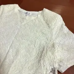 Item thumbnail for item 1dd92de1-13fb-4d85-a961-34d9413b0076