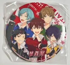 あんスタ 流星隊 缶バッジ スタライ