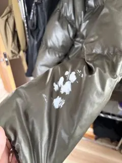 わびすけさん　ミレー　確認のサムネイル