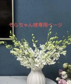 そらちゃん様専用ページ