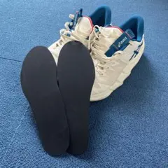 ［プロ作成］アンプレアルスロー2 25.0cm 専用インソール