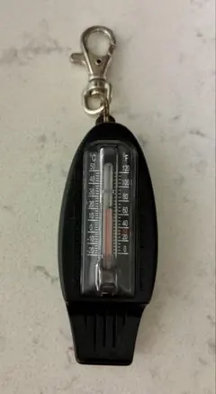 Item thumbnail for item 2c663c46-fd81-492d-9f2c-dfb62f9f8f7e