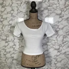 Dazy　デイジー　（M）　半袖Tシャツ　ショート丈　白　シンプルカジュアル