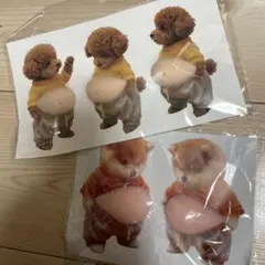 お腹ぷにぷにシール 柴犬 トイプードル 5匹セット