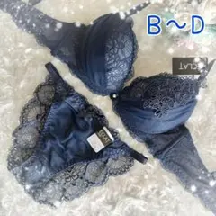 ネイビー✨ディープカラー/バック透け ブラ＆ショーツセット