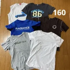キッズ　半袖　Tシャツ　まとめ売り　男の子　160