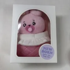 BT21 COOKY ぬいぐるみセット
