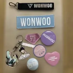 SEVENTEEN ウォヌ　WONWOO ワッペンバッジ　アクスタ　缶バッジ メルカリ
