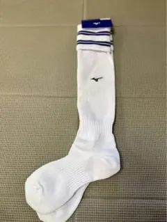 Item thumbnail for item 19783b92-0e41-4605-9093-ce006a938d46