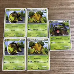 ポケモンカード ナエトル ハヤシガメ ドダイトス 計5枚セット