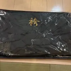 Item thumbnail for item 6d8edd4d-08b9-4022-ad55-b4abdd3e3161