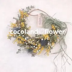 ドライフラワー　ミモザ　ユーカリ　ドライフラワーリース