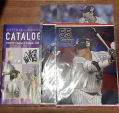 Item thumbnail for item cf902196-59cd-4afe-83e7-14534a5a66a9