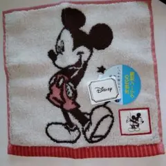 Disney ミッキーマウス ハイドロ 銀チタン タオルハンカチのサムネイル