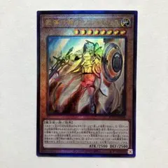 遊戯王 PSA10 完美品 プリシク 教導の騎士フルルドリス 鑑定品 ROTD 状態A-〕教導の騎士フルルドリス【シークレット】{ROTD-JP008