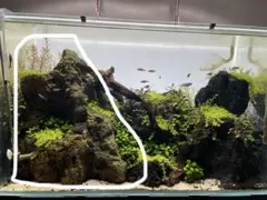 m26657381849_1.jpg?1767059530