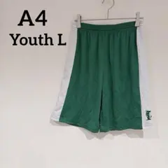 Item thumbnail for item 475fc304-5aca-4b78-aa56-5b207745f406