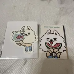 即日発送TXT ヨンモン ステッカー POP UP 特典　セット　スビン