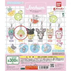 JOCHUM めじるしアクセサリー2 もこ