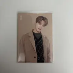 SEVENTEEN 2020 winter トレカ ディノ