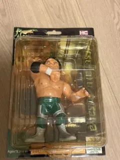 2025年最新】三沢光晴 フィギュアの人気アイテム - メルカリ