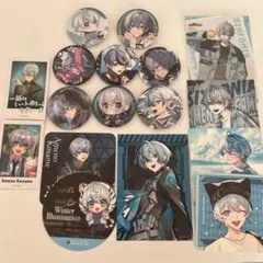 雨乃こさめ　缶バッジ　ブロマイド 17点セット