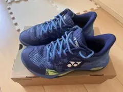 2026年最新】ヨネックス パワークッション エクリプションzの人気